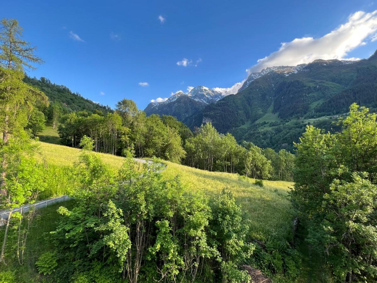 Chalet Altus Sainte-Foy-Tarentaise Eksteriør billede