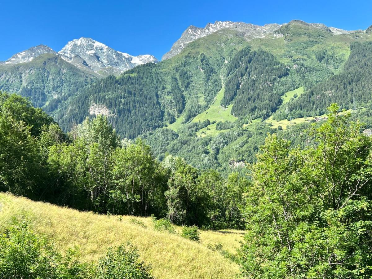 Chalet Altus Sainte-Foy-Tarentaise Eksteriør billede