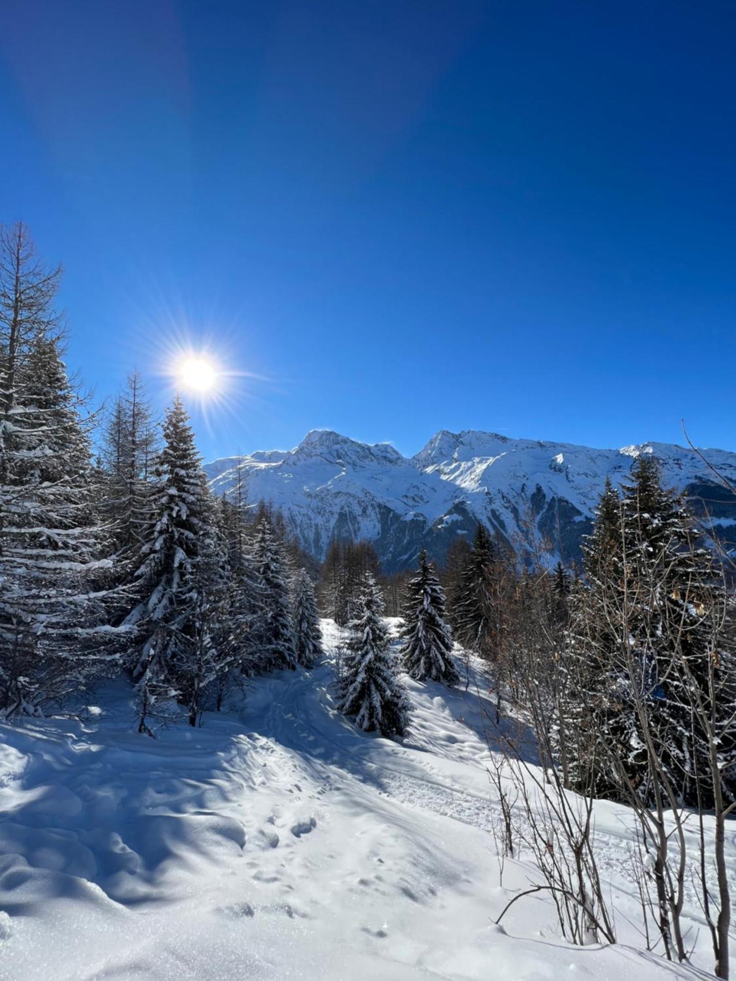 Chalet Altus Sainte-Foy-Tarentaise Eksteriør billede