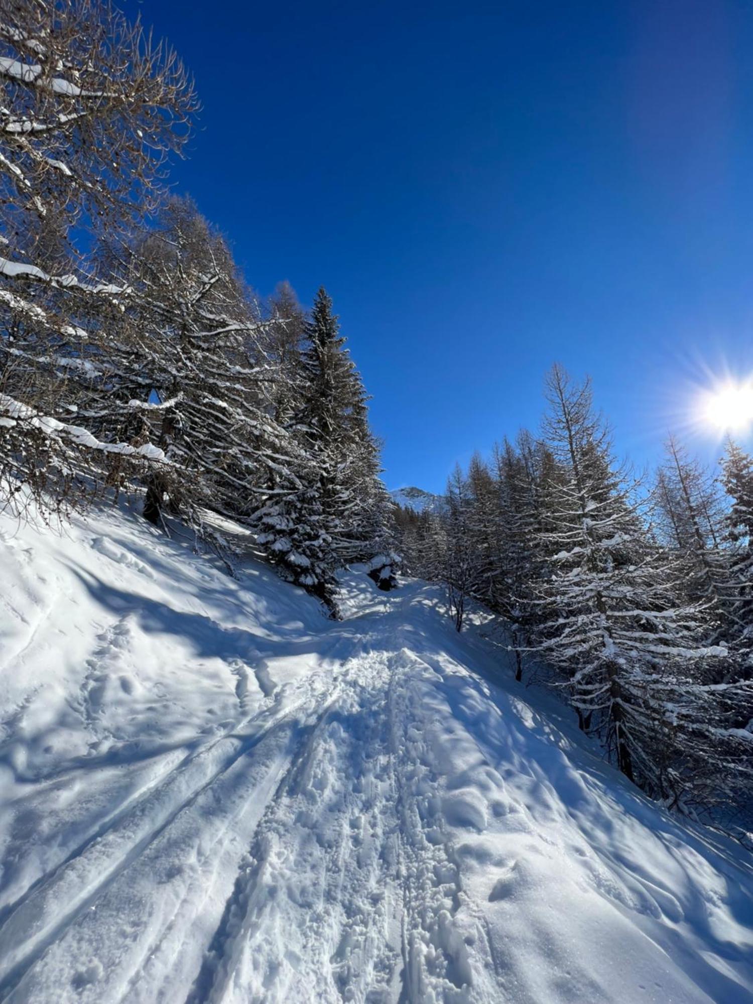 Chalet Altus Sainte-Foy-Tarentaise Eksteriør billede