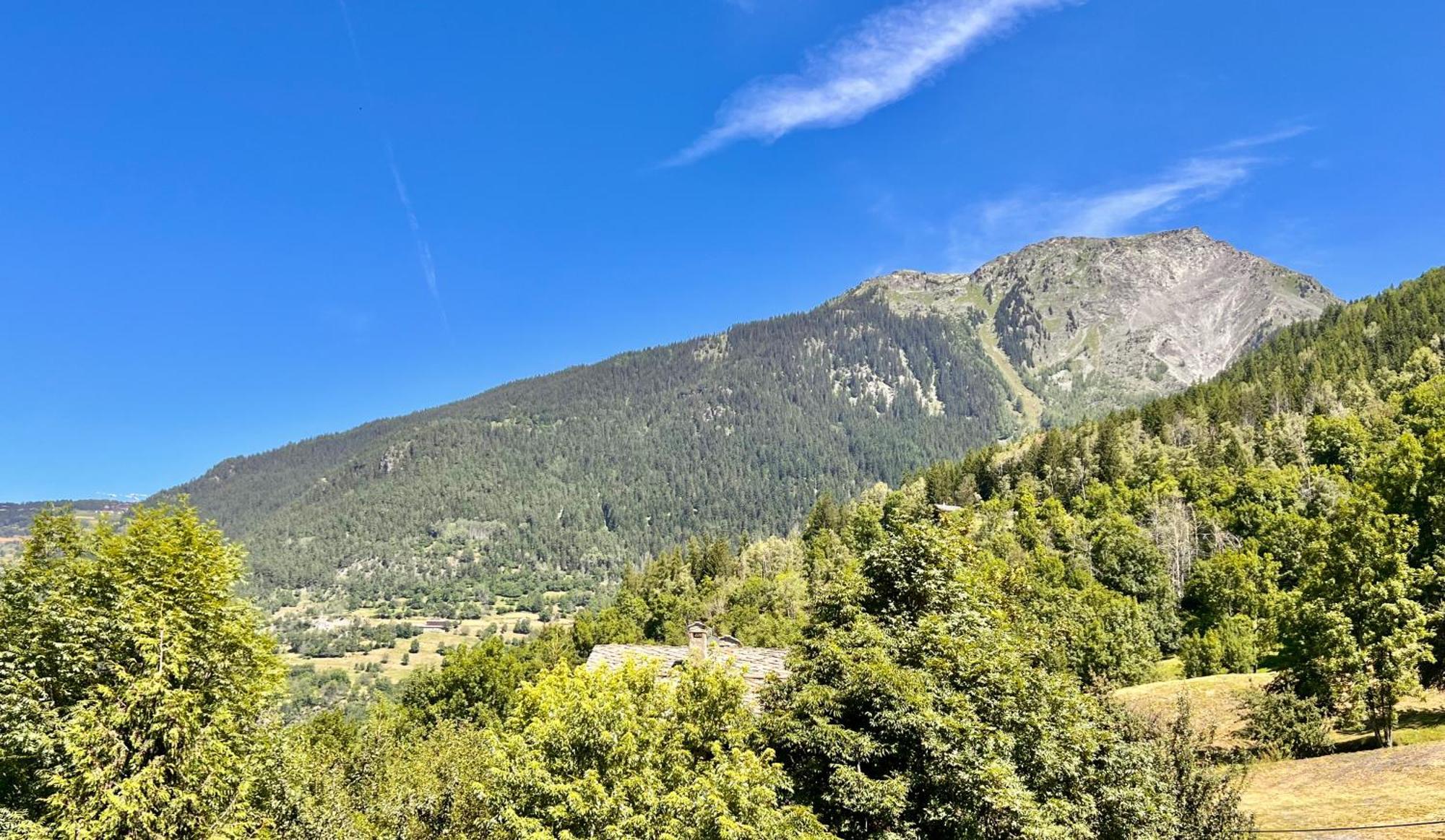 Chalet Altus Sainte-Foy-Tarentaise Eksteriør billede